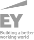 ey logo